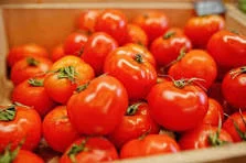 Field Tomato 25lb Case