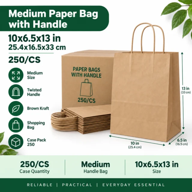 Paper Bag – Medium – with Handle 10x6.5x13 / 25.4x16.5x33cm 250/CS