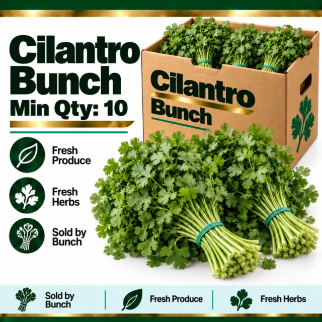 Cilantro Bunch (Min Qty: 10)