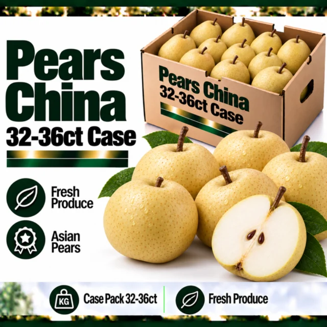 Pears China 32-36ct Case