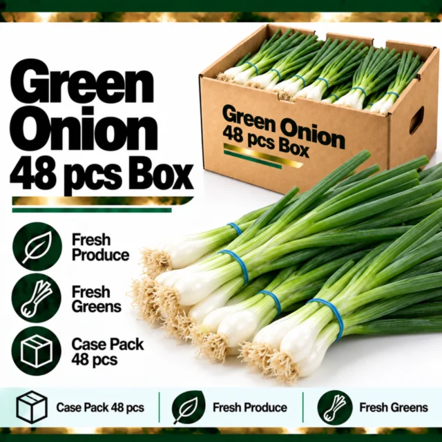 Green Onion 48 pcs Box