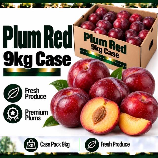 Plum Red 9kg Case