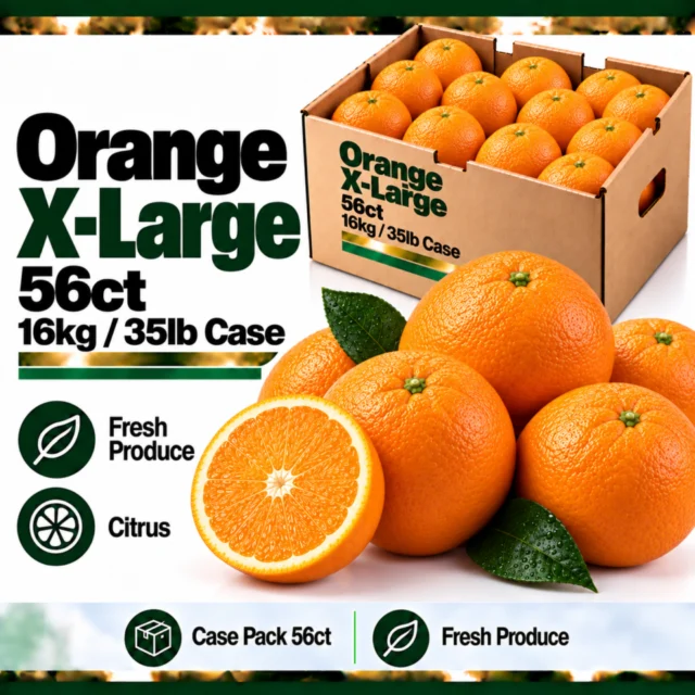 Orange X-Large 56ct/16kg/35lb Case
